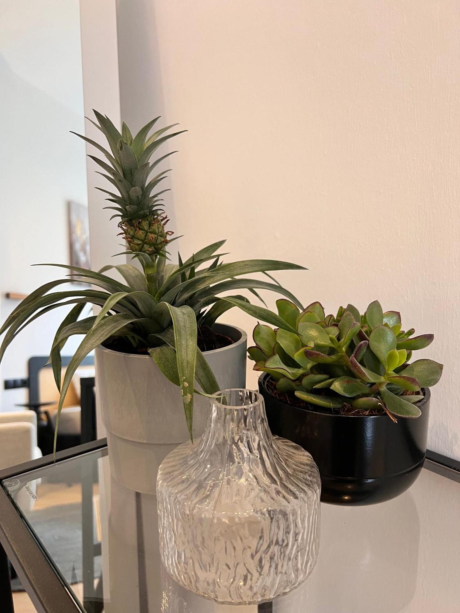 كوبلنس Modern Stay I Cosy & Central Apartments المظهر الخارجي الصورة